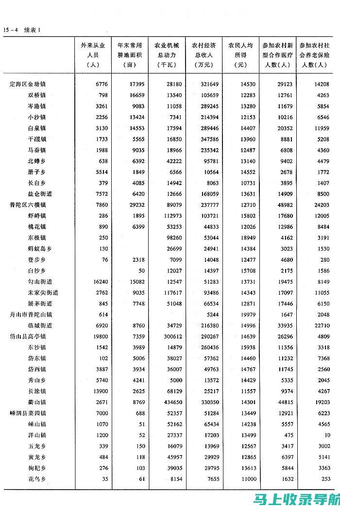 乡镇统计站长在乡村经济发展中的工作职责及其影响